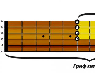 Ukulele untuk pemula, atau cara memainkan ukulele Suara ukulele